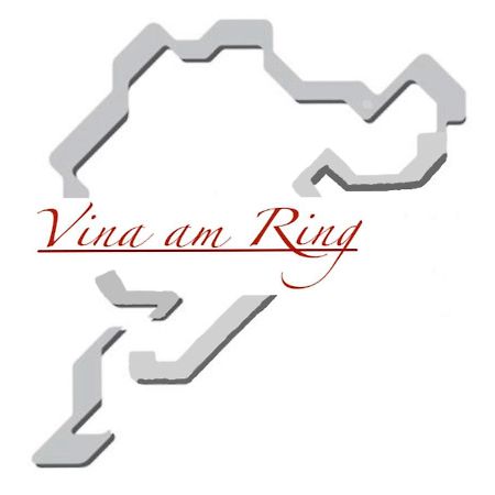 Bed and Breakfast Vina Am Ring Mannebach  Экстерьер фото