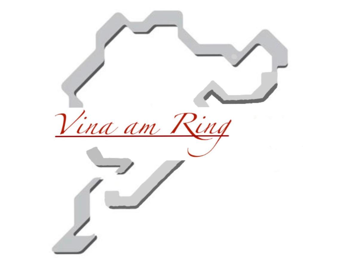 Bed and Breakfast Vina Am Ring Mannebach  Экстерьер фото